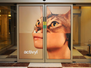 Activyl evento Se avessi le pulci cosa faresti?