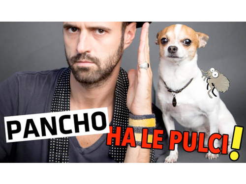 Che viral è questo? #lagrandenovità