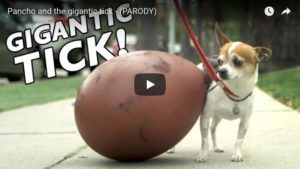 video virale Pancho e la zecca gigante Nick Bello e Sottosopra comunicazione, agenzia di comunicazione a Milano