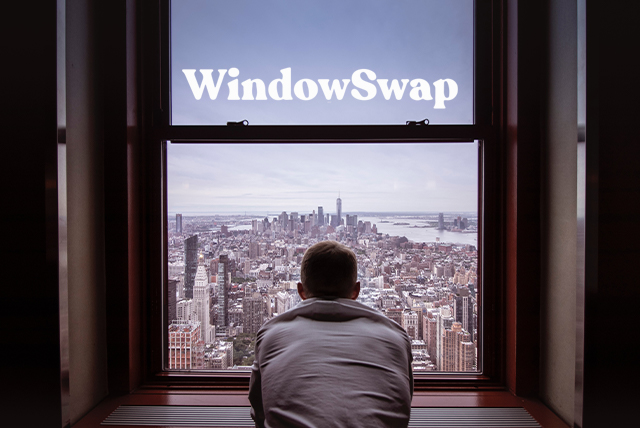 Window Swap – Una finestra sul mondo
