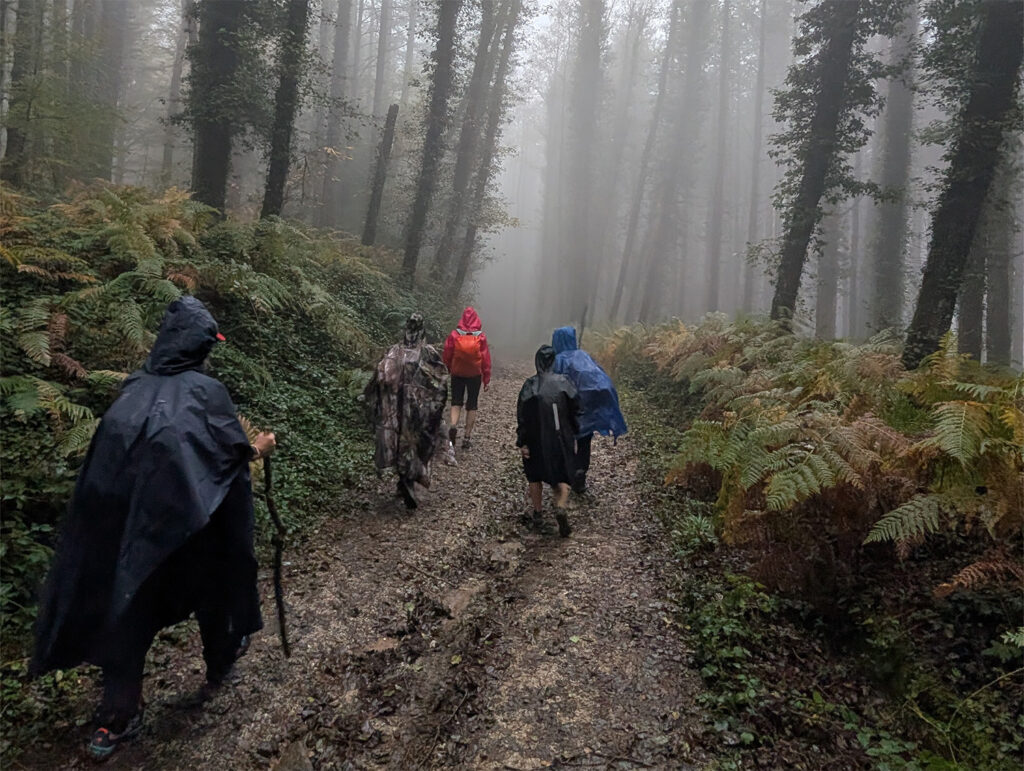 Donne sul cammino Kalabria coast to coast in una foresta piena di nebbia