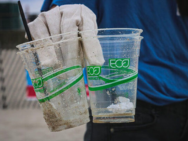 Il marketing ingannevole del greenwashing: i 7 peccati capitali e tutte le forme di washing