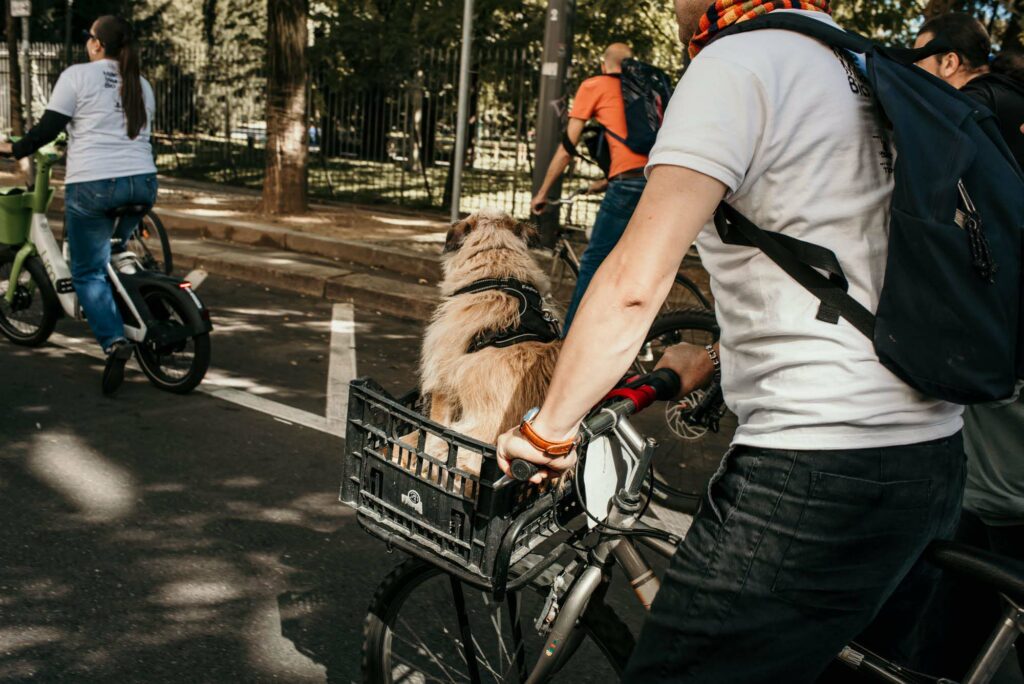 Persona che si sposta in bici e trasporta un cagnolino
